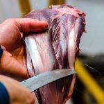 Can You Eat Bear Meat?