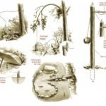 Best Survival Traps with Video Tutorial