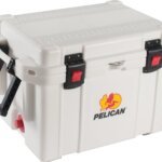 Top 11 Best Camping Cooler Reviews of 2018