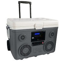 TUNES2GO KoolMAX Cooler Audio System