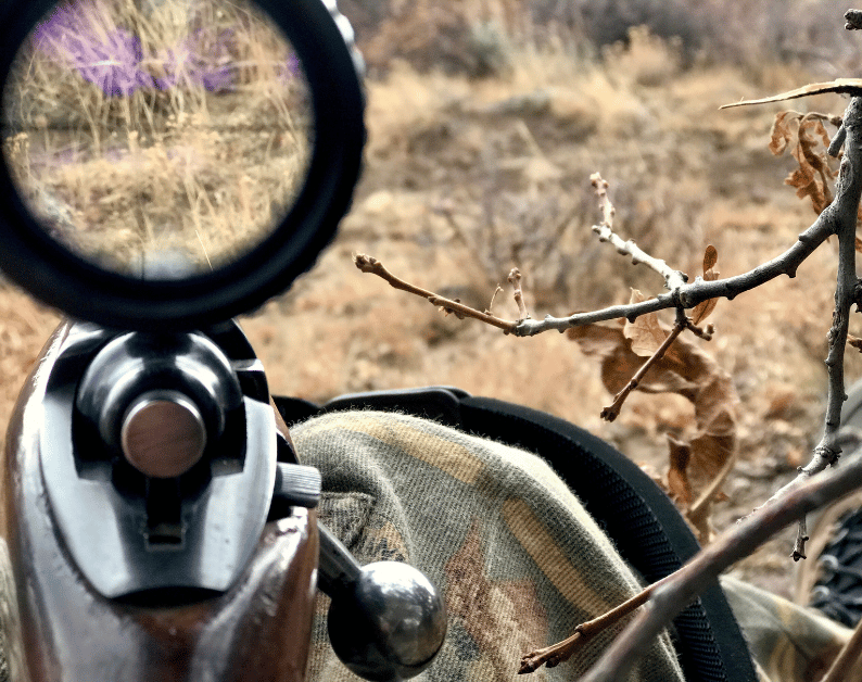 All-Around Hunting Rifles Every Outdoorsman Should Consider