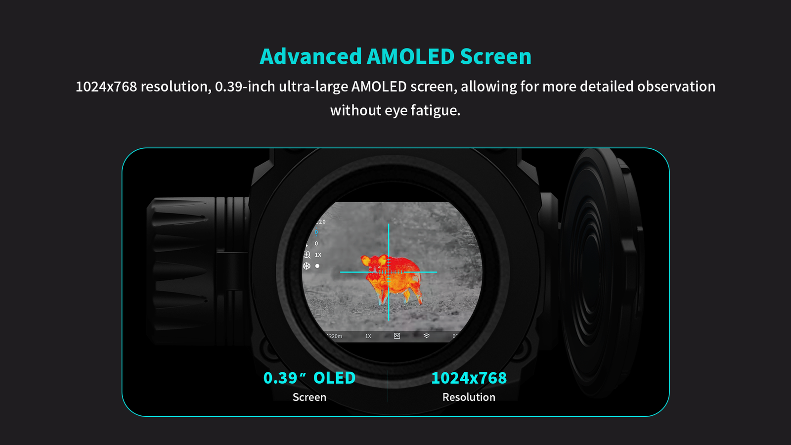 Screen Display