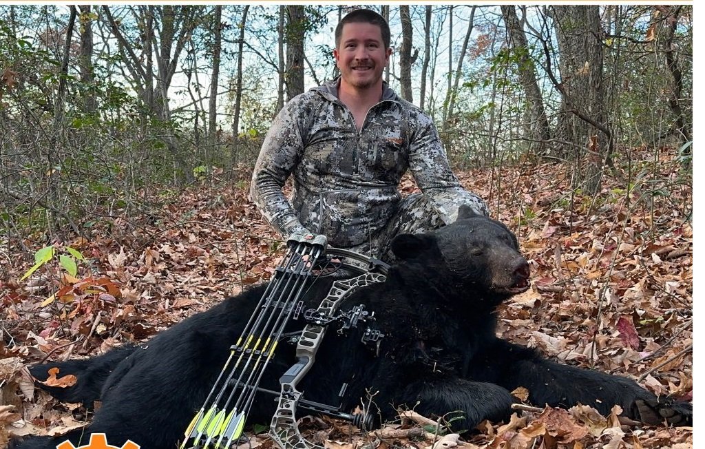Best Bow Quivers for Hunting 2026 | Expert Tested & Field Proven
